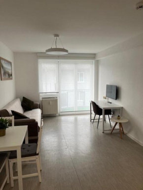 Stylish apartment with balcony, underground parking